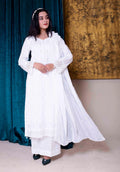LUNAR LUXE | SS-1002 – Elegant Schiffli Kurta Set